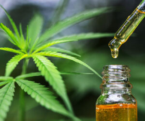 cannabis-light-oil-cbd